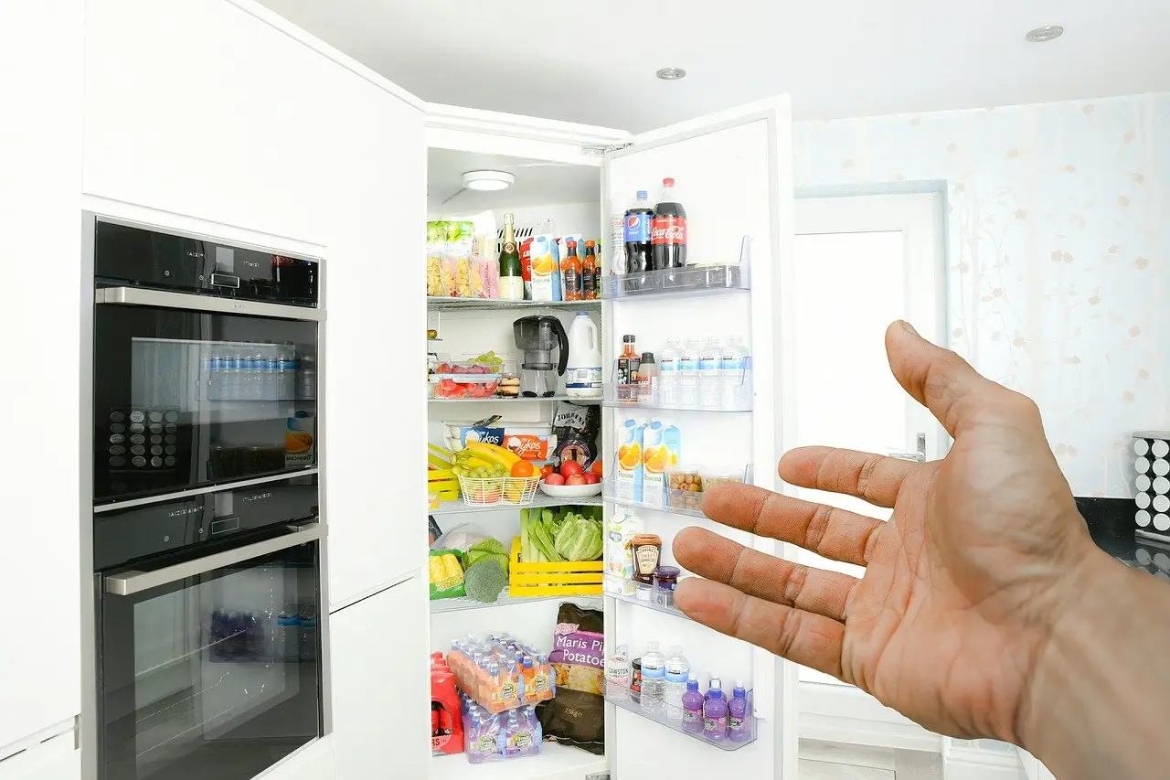 hospitality, fridge, hand, door, refrigerator, invitation, pointing, cold, open, food storage, chill, cool, food, storage, chilled, fresh, kitchen, fridge, fridge, fridge, fridge, fridge, refrigerator, refrigerator, refrigerator, refrigerator
